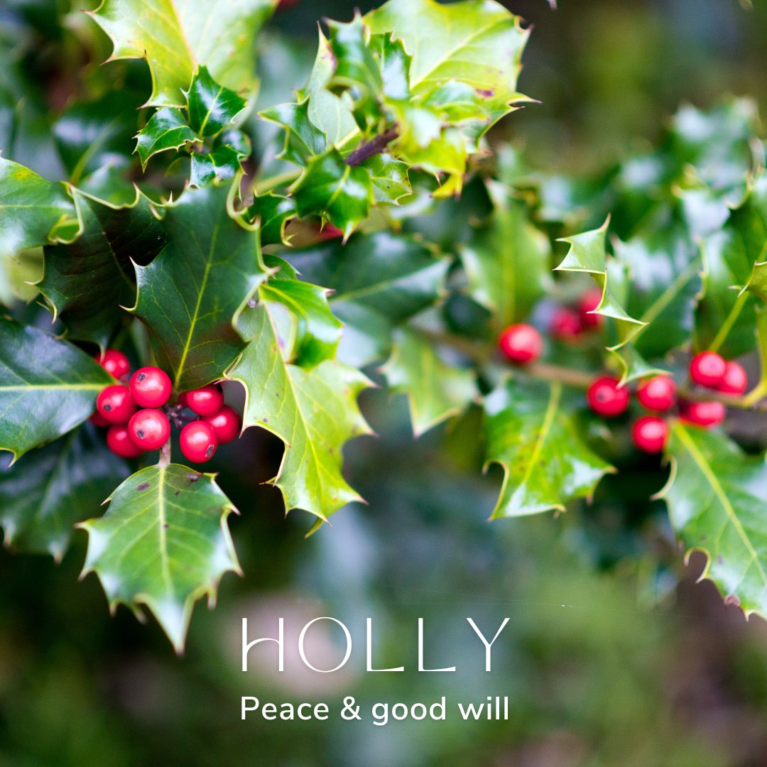 Holly December Birth Flower Alexander Thurlow Flower Jewellery