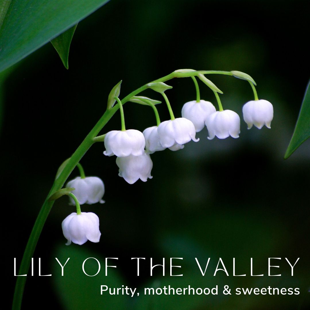 Lily of the Valley May Birth Flower Alexander Thurlow Flower Jewellery
